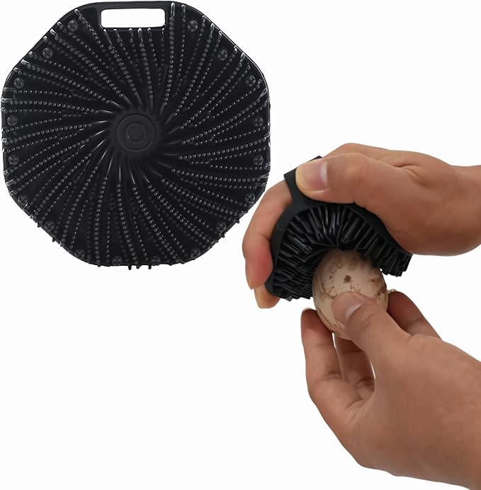 Egg Washer for Fresh Eggs - Egg Cleaner for Fruits and Vegetables, Keeps Produce Fresh (1, Black)