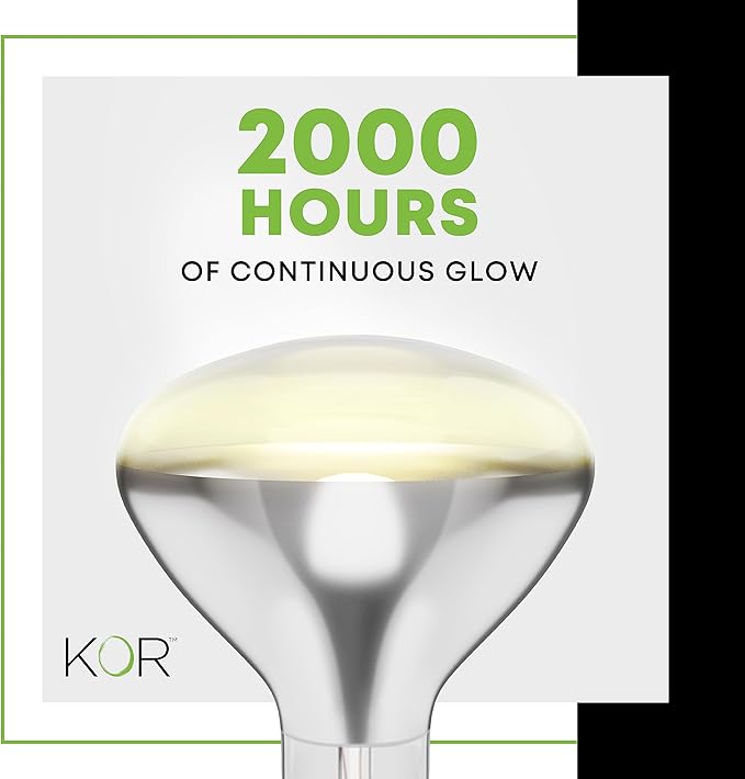 250R40/1 250-Watt, Incandescent R40 Reflector, Clear Head Lamp, Heat Flood Lamp Light Bulb, E26 Standard Medium Screw Base, 120V, 6,000 Hour Rated (Pack of 2-Clear-Heat Lamps)