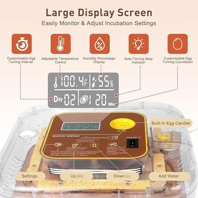Series IV - 12-Egg Fully Automatic Incubator, Low Maintenance, Sensor-Based Precise Humidity & Temp Control, Custom-Interval Auto Turn & Auto Stop, Preset Incubation Days, Candler, Alarms