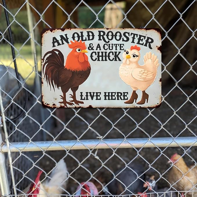 Funny Cute Vintage Chicken Coop Metal Tin Signs Plaque An Old Rooster & A Cute Chick Live Here Home Farmhouse Kitchen Wall Decor 12x8 Inch