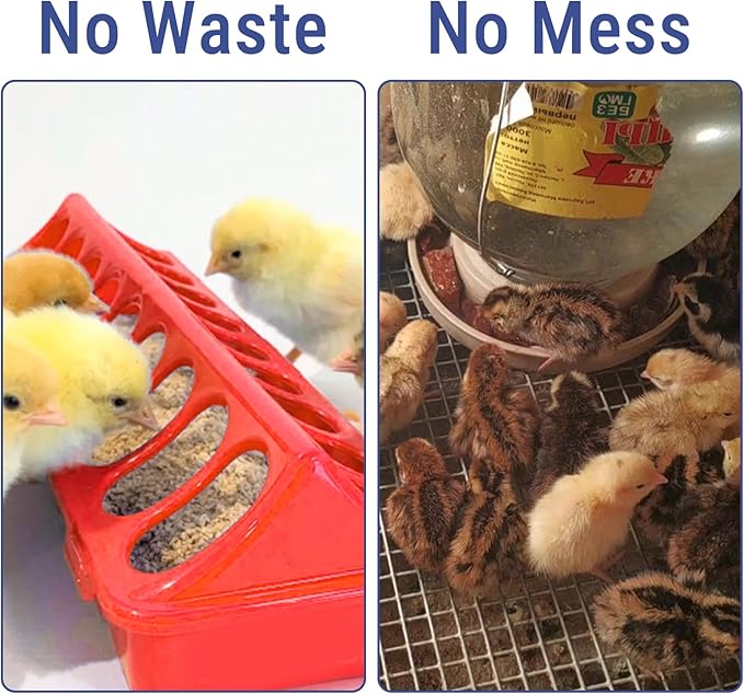 5pcs Flip Top Poultry Feeders, Spill Proof Chick Feeder Trough Quail Feeder No Waste No Mess Plastic Pigegon Feeder Small Poultry Coop Feeder for Chick,Bantam,Duckling,Parrot,Other Birds