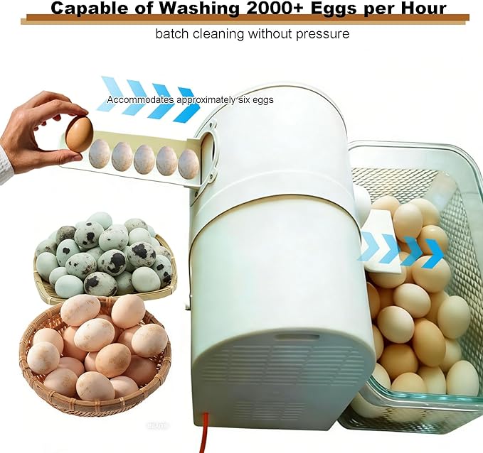 Electric Egg Washing Machine, Home/Commercial Automatic Egg Cleaning Machine, Egg Brushing Machine with Roller Brush for Chicken Duck Goose Egg (Single-barrel)