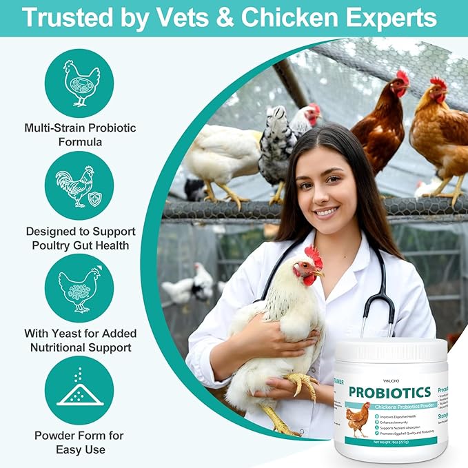 Chicken Probiotic Powder, 300 Billion CFU Multi-Strain Poultry Probiotics for Poultry, Supports Digestive Health Immune Support & Eggshell Quality, Easy Mix Feed Supplement Pullets Layers 8 oz