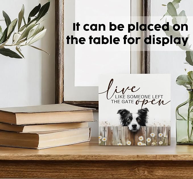 Border Collie Signs - Farm Cottagecore Animal Office Kitchen Bedroom Decor,Rustic Farmhouse Live like Someone Left the Gate Open Home Decor Wooden Signs,Border Collie Gifts for Women,6x6