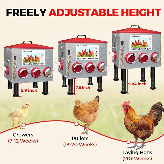 55lbs No Waste Automatic Chicken Feeder, Large Metal Poultry Feeder with 8 Feeding Ports & View Window, Weatherproof, Adjustable Height, and Locking Lid for Chickens, Ducks, Geese