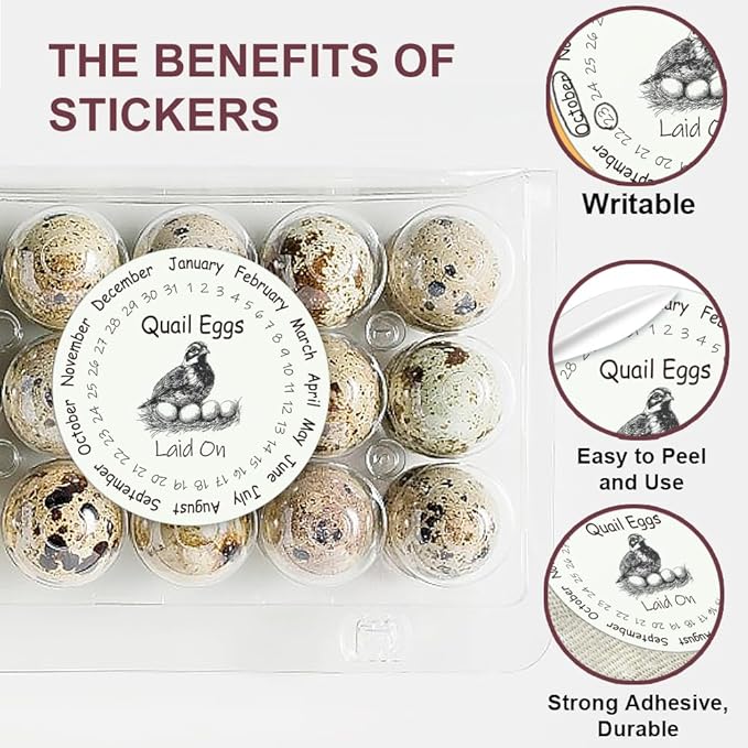 320 Pcs Quail Farm Fresh Eggs Stickers, 2 Inch Round Unwashed Eggs Carton Labels Sticker PET Adhesive Egg Packaging Stickers for Box Container Carton Farm Supplies