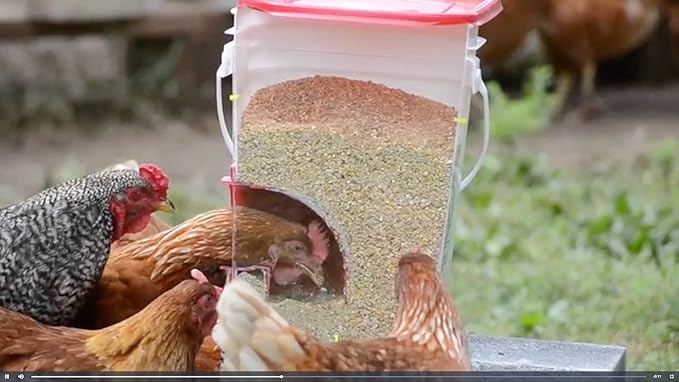 RentACoop DIY Large 4-Port Chicken Feeder Kit with Hole Saw - Includes Ports, Rain Hoods, Hole Saw, and Hardware - Suitable for Bantam Chickens, Turkeys, Ducks, Roosters, and Other Poultry