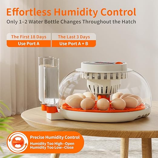 Egg Incubator with Temperature and Humidity Control, Automatic Egg Turning, Egg Candler, External Water Bottle, Adjustable Air Vent, 360° Clear View, for Chicken, Duck & Quail Eggs, APDOE HatchPro 12