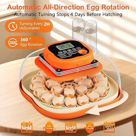 25 Egg Incubators for Hatching Eggs, Egg Incubator with Automatic Egg Turning and Humidity Control, Incubators for Hatching Eggs Chicken Quail Parrot Pigeon