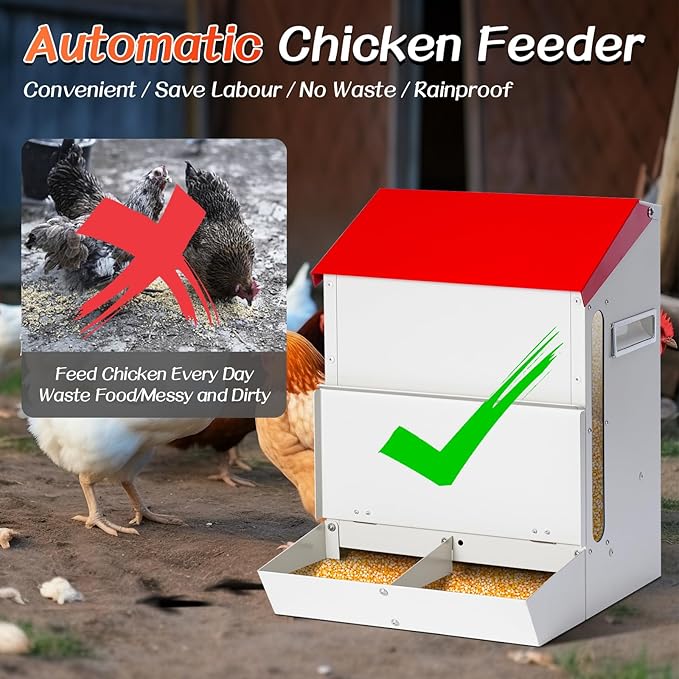 Galvanized Wall Mount Chicken Feeder No Waste Hanging Chicken Feeder with Lid Weatherproof Metal Automatic Poultry Feeder Trough Food Dispenser Mess Free for Duck Geese, Hens, Turkeys Coop