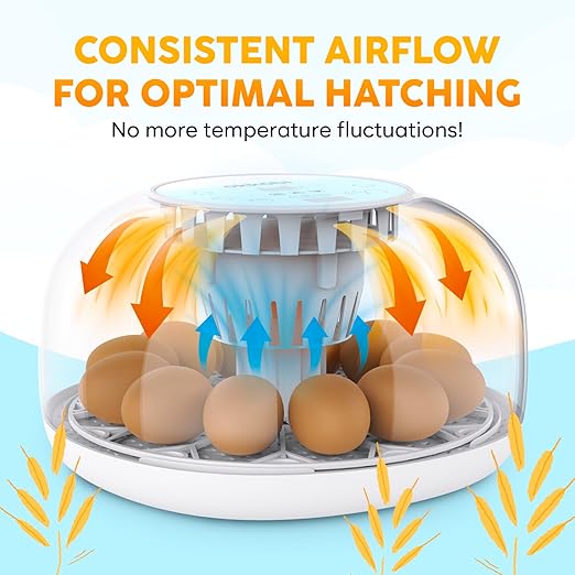 M12 Incubators for Hatching Eggs - Egg Incubator with Automatic Turner and Humidity Control - 12/24 Eggs - Incubadora de Huevos de Gallina - Easy to Use and Clean - 360° View - Blue