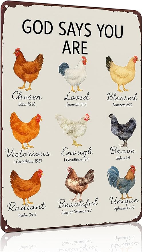 Funnysign Chicken Gifts God Says You Are Amazing Vintage Tin Sign for Chicken Coop Farm Kitchen Garden Yard Decor 8x12 inch (3912)
