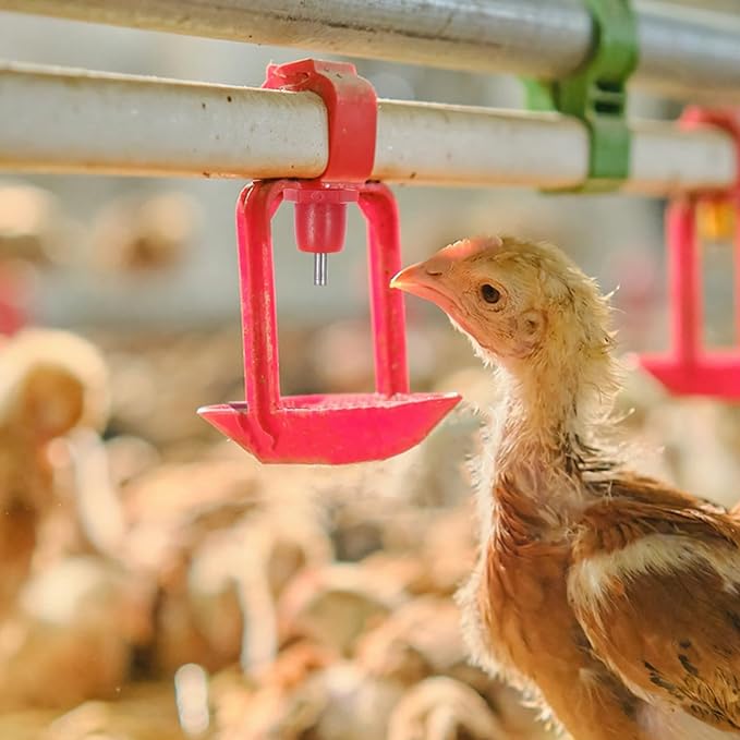 20pcs Automatic Chicken Waterer Nipples with Spring Head Poultry Water Drinker for Farm and Backyard Use Sturdy Chicken Water Feeding System for Quail
