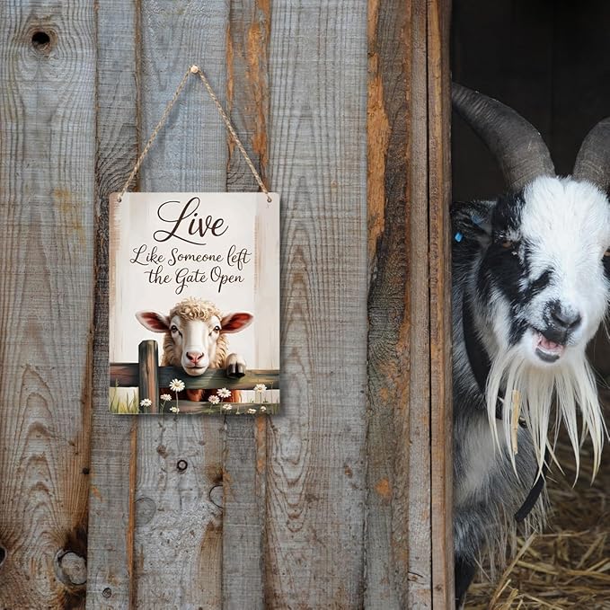 Sheep Gifts Sign Live Like Someone Left The Gate Open Sign for Home Bathroom Farm Sheep-Coop Kitchen Yard Country Decor 8x10 Inch