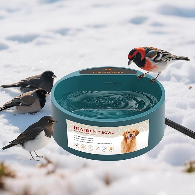 Enjoying Heated Pet Bowl for Cat Outdoor, 2.2 L, Ice Free, Heated Water Bowl for Dogs Chickens Rabbits Birds, Intellectual Temperature Control Thermal Bowl, Green