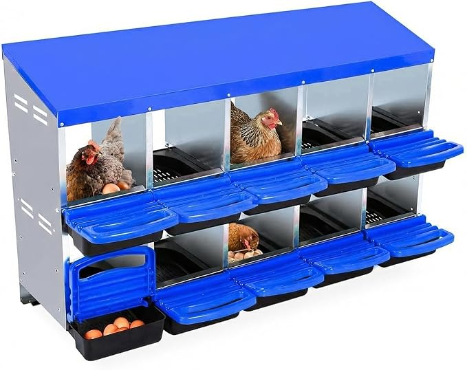 Chicken Nesting Box, 10 Compartments Metal Roll Away Nest Box for Chicken Coop, Heavy-Duty Eggs Laying Boxes with Removable Lid for Easy Egg Collection, Easy Cleaning, Blue