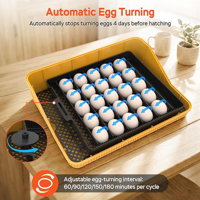 25 Eggs Incubator, Incubators for Hatching Eggs, with Automatic Egg Turner and Temperature & Humidity Control, Egg Candler, for Hatching Quail, Chicken, Duck, Goose Eggs
