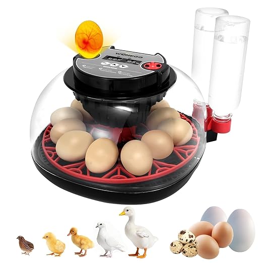 2nd Gen - 12 Egg Automatic Incubator, Two-Stage Humidity with Auto-Refill & Stable Temp Control, Auto Egg Turning, Candler, Real-Time Display for Hatching Chicken, Goose, Duck, Quail, Pigeon