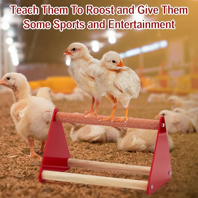 Patelai 12 Pcs Chick Feeder and Waterer Kit Feeding Supplies with Mini Perch Chicken Starter Kit for Coop and Brooder for Small Poultry Ducks Quail