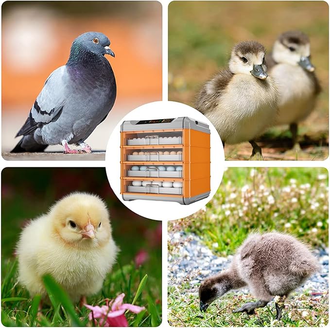 Automatic Incubator, Egg Incubator, with Automatic Temperature and Humidity Control Chicken Incubators for Hatching Eggs,192Eggs,256Eggs