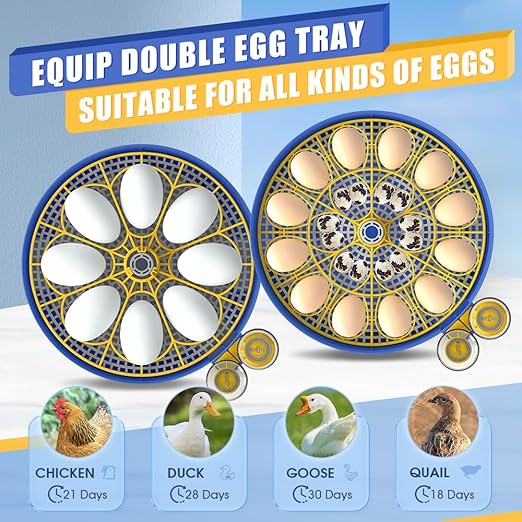 HOWOOlUA 18 Egg Incubator for Hatching Eggs with Auto Turn, Temp & Humidity Control, Built-in Candler Large Capacity Egg Incubator for Chicken Duck Goose Eggs (Blue)