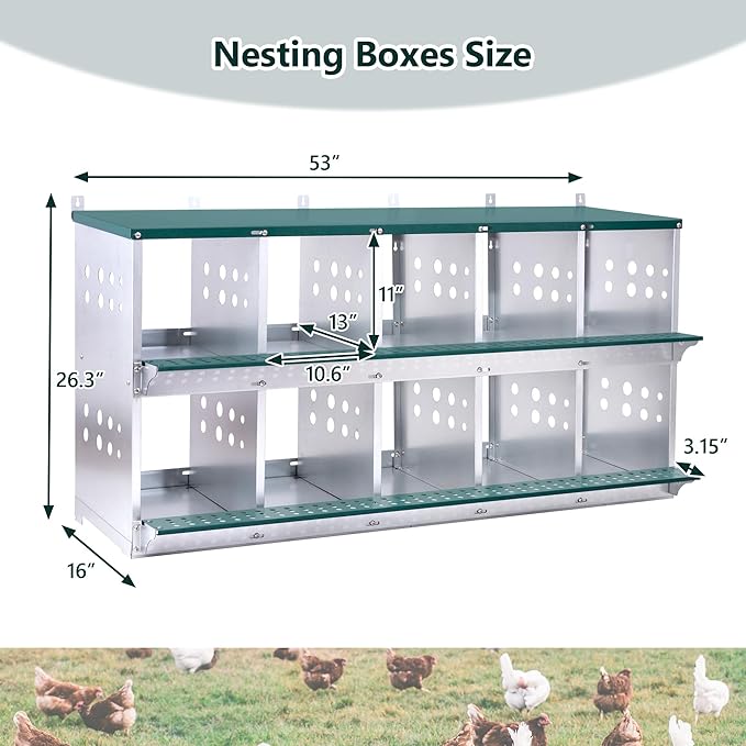 10 Compartment Nesting Boxes for Chickens with Large Vented Holes Roll Away Nesting Boxes Wall Mountable Laying Box Indoor & Outdoor Use Easy Egg Collection for Chicken Coop, Backyard, Farms, Green