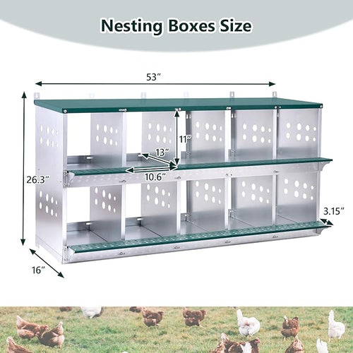 10 Compartment Nesting Boxes for Chickens with Large Vented Holes Roll Away Nesting Boxes Wall Mountable Laying Box Indoor & Outdoor Use Easy Egg Collection for Chicken Coop, Backyard, Farms, Green