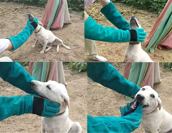 YBB Animal Handling Anti-bite/Scratch Gloves for Dog Cat Bird Parrot Pet (Green)