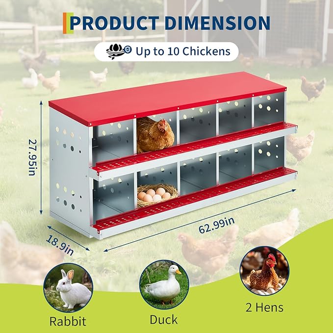 Metal Chicken Nesting Boxes - 10 Hole Wall-Mountable Laying Boxes with Flip-Top Lid & Roll-Away Egg Collection, Weatherproof Galvanized Steel, Includes 10 Fake Eggs for Chicken Coop, Red