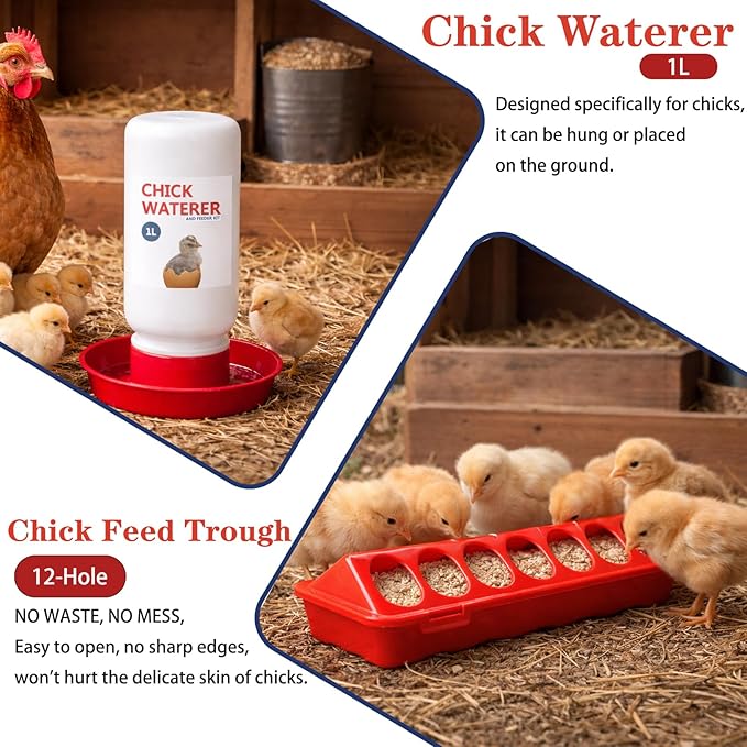 Chick Feeder and Waterer Set, 5 Pcs Baby Chicken Supplies with Chicks Feeder Trough, 1L Waterer and Perch, Chicken Starter Kit for Small Poultry Ducks Quail Brooder Coop
