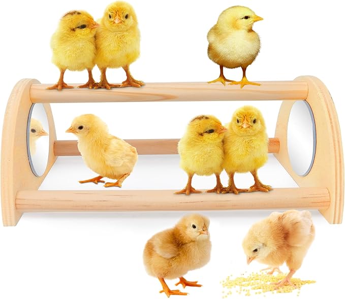 ALIBBON Mini Chicken Perch with Mirror Chick Strong Wooden Jungle Gym Roosting Bar Chicken Toys for Coop and Brooder Chick Training Perch for Large Bird Baby Chicks Parrot