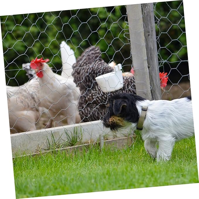 YARNOW 1 Roll Galvanized Wire Poultry Netting Heavy Duty Chicken Coop Fencing Mesh for Garden Bird and Deer Barrier Easy Assembly Durable and Ventilated Enclosure