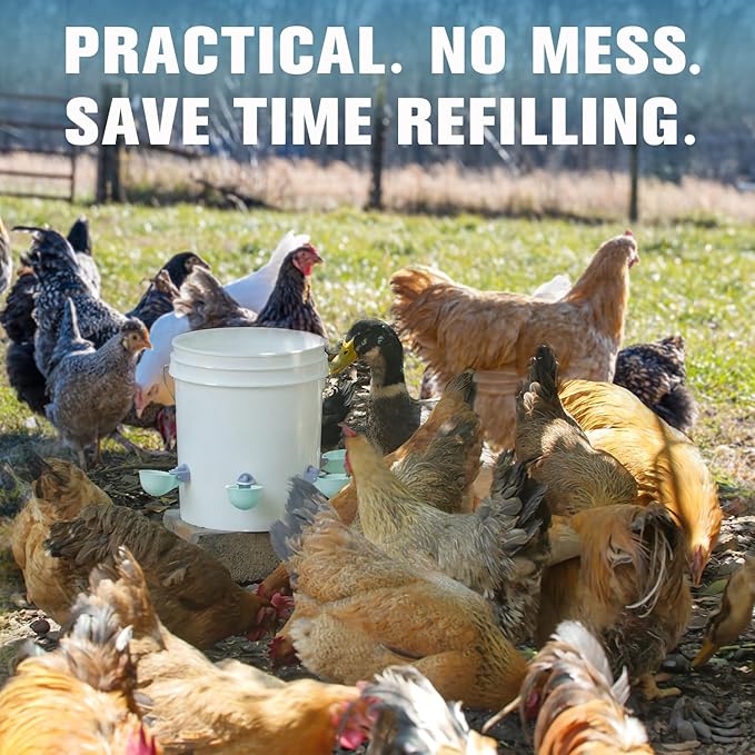 (6 Pack) Chicken Water Cups Feeder, Automatic Chicken Waterer, Anti-Leak System, Holds 50% More Water, Suitable for Chicks, Chicken, Duck, Quail, Turkey