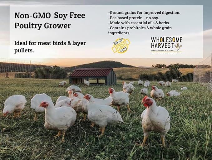 Non-GMO Soy-Free Corn-Free Poultry Grower 40 lb