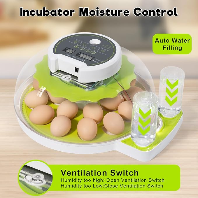 18 Egg Incubator with Automatic Turning & Humidity Control, 0.1 Precision for Chicken/Duck/Goose/Quail/Parrot Eggs (Green)
