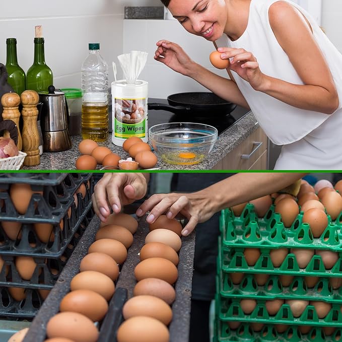 200 Pcs Egg Washer for Fresh Egg, Disinfectant Cleaning Wipes for Chicken Poultry Coop Cleaning Accessories