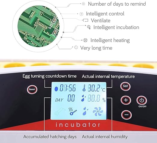Egg Incubator with Auto Turner & Humidity Control – High Hatch Rate Poultry Hatcher for Chicken Duck Quail, 360° View & Stable Temp System, Ideal for Farm & Home Breeding (55 Egg)
