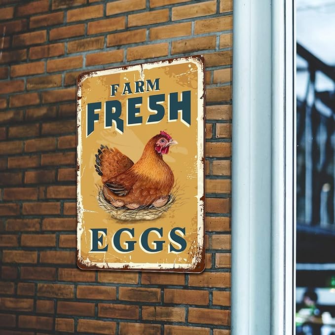 Farm Fresh Eggs Tin Signs - Vintage Country Chicken Hen Rooster Tin Signs Funny Chicken Coop Metal Signs Outdoor Chicken Decor For Chicken Lovers Chicken House Decor 8×12 Inch