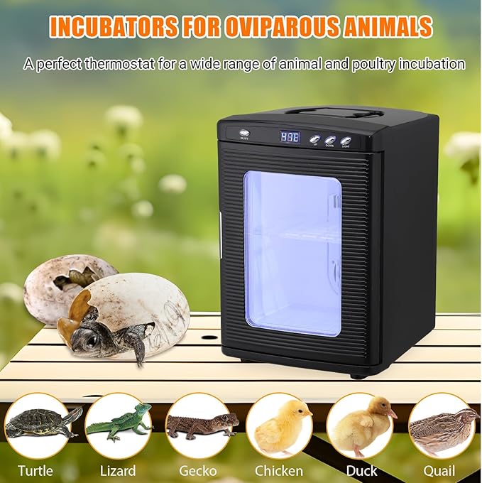 25L Reptile Incubators for Hatching Eggs, Digital Science Lab Incubator,Cooling and Heating 10-60°C, 12VAC/110VDC Dual-Power Small Portable Incubator for Laboratory, Home, Vehicle, Black