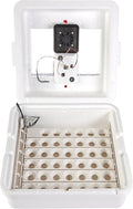 Little Giant® Digital Circulated Air Incubator with Automatic Turner | 41 Eggs | Egg Incubator with Fan and Egg Turner