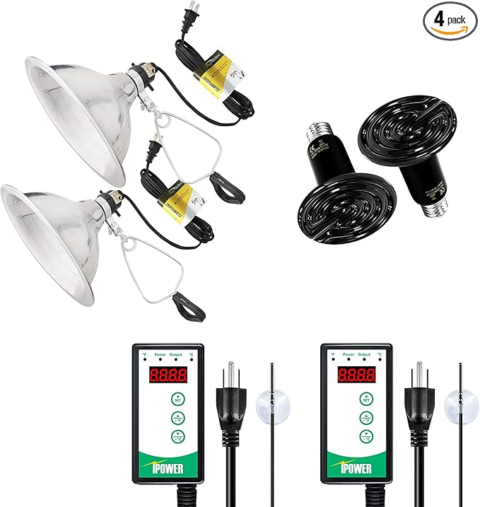 Simple Deluxe 150W Reptile Ceramic Heat Bulb with 8.5 Inch Clamp Lamp and Digital Thermostat Controller Combo Set for Incubating Chicken & Amphibian Pet, 2 Pack