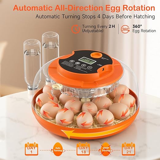 18 Egg Incubators for Hatching Eggs, Automatic Egg Turning and Humidity Control Incubator for Hatch Chicken Duck Quail Pigeon Pheasant Partridge Home Classroom Lab-