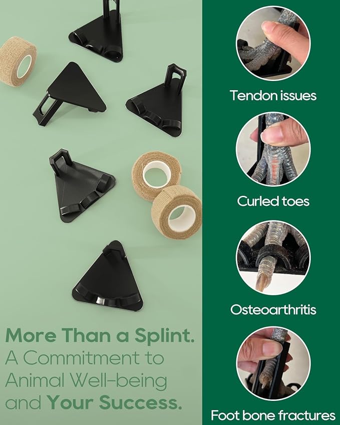 6Pcs Black Chicken Leg Splints,Bumble Foot Treatment, for All Growth Stages Adjustable Splint for Broken Feet, osteoarthritis, Curled Toes, Splay Leg Ideal Chicken Gifts for Hen Health Care