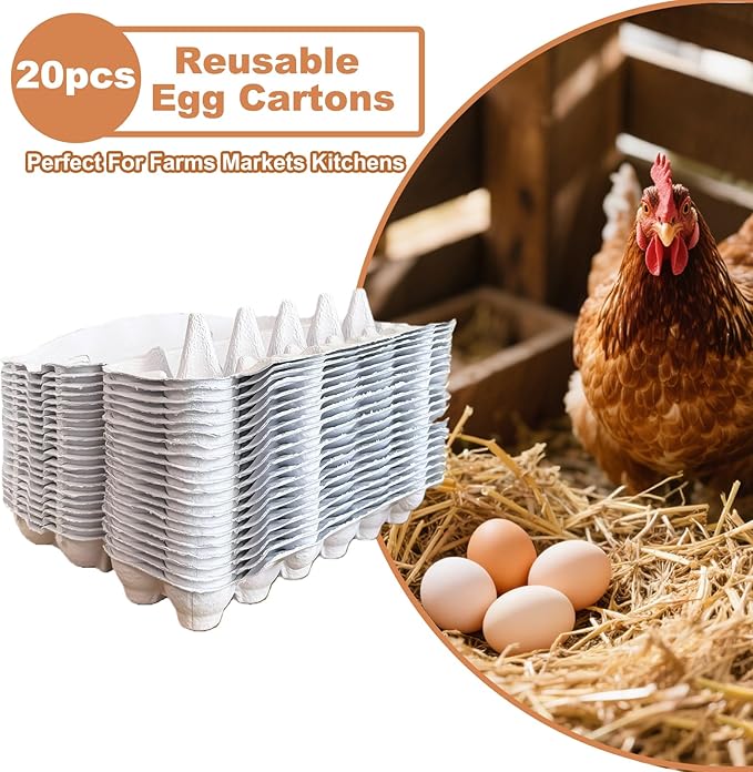 Reusable Pulp Egg Carton,12-Count Storage Container, Farm Fresh Egg Holder for Countertop, Chicken Egg (20, white, 2 * 6)