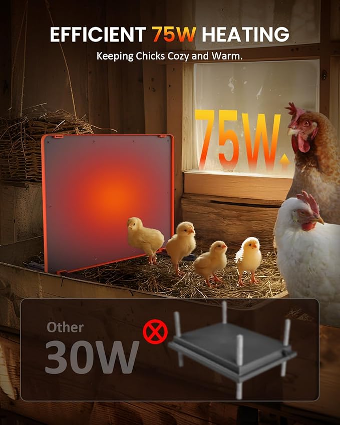 Brooder Plate for Chicks, 12" x 16" Heat Plate for Chicks for 20 Chick, 75 Watts Chicken Coop Heater with Adjustable Temp Timer & Height & Angle, IPX4 Waterproof, UL-Certified