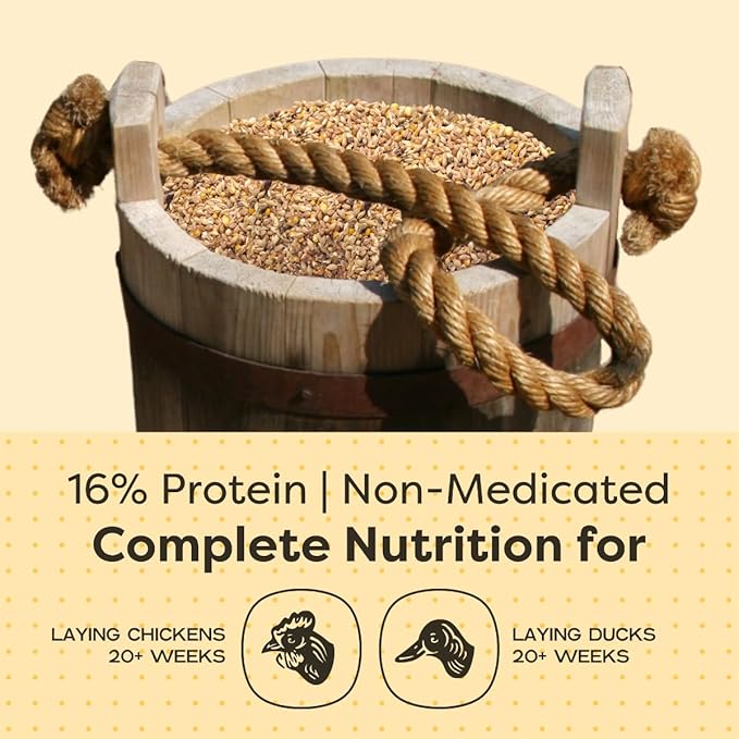 Scratch and Peck Feeds Whole Grain Layer Mash + Corn Chicken and Duck Feed - 40 lbs Bag - Soy-Free - 16% Protein, Certified Organic and Non-GMO Project Verified Chicken Food