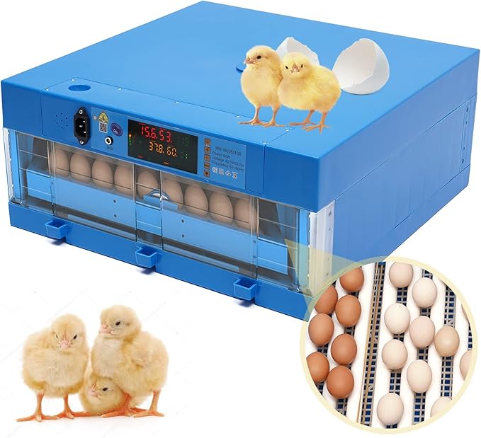Digital Incubator 48 Chicken Eggs Incubator Poultry Hatcher Machine 2 in 1 Incubator 360° Automatic Egg Turning Blue 80W for Farm Home