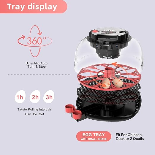 12 Egg Incubator for Hatching Chicken, Duck, Quail Eggs – 360° Visible Lid, Automatic Turning & Humidity Control, Built-in Egg Candler – Ideal for Home & Classroom Science Projects