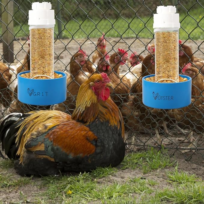 2 Pack Transparent PVC Chicken Feeder, Oyster Shell and Grit Feeder Hanging Ground Chicken Coop Feeder with Hanging Hook for Hens & Chicks (Blue)