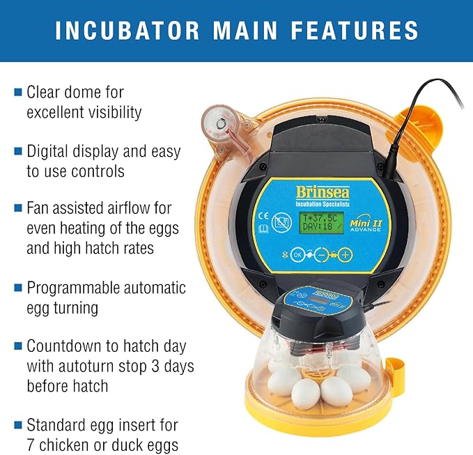 Brinsea Mini II Advance Egg Incubator Classroom Kit Brooder Pack for Students with Lesson Plan, Egg Scope, EcoGlow Brooder, Plastic Chick Enclosure, Feeder and Drinker for Hatching Chicks, Ducklings